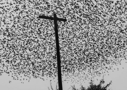 foto graciela iturbide