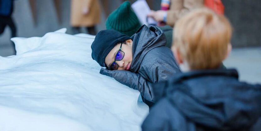 Nuestro año glacial