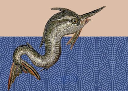 ilustración "principio, medio, fin", de valeria luiselli